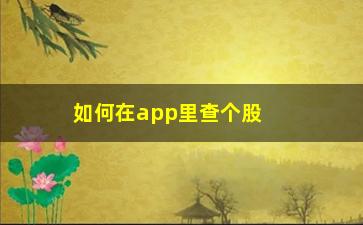 “如何在app里查个股收益